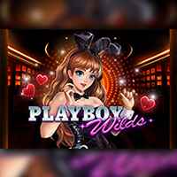 Playboys Wilds